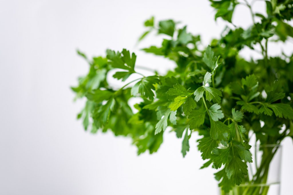 Photo of cut parsley inside a clear glass cup.